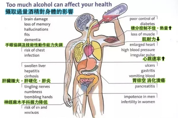 酒精對身體的影響